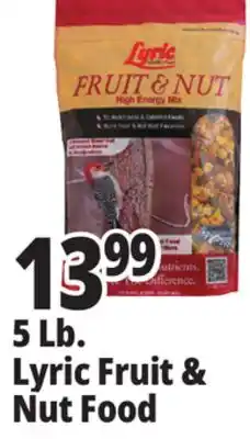 Ocean State Job Lot Lyric Fruit and Nut High Energy Wild Bird Food Mix 5 lbs offer