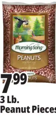 Ocean State Job Lot Morning Song Wildlife Food Peanuts 3 lbs offer