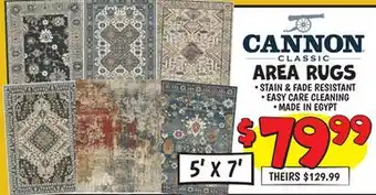 Ollie's CANNON AREA RUGS offer