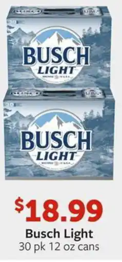 Fareway Busch Light offer