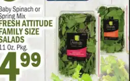 C Town FRESH ATTITUDE FAMILY SIZE SALADS offer