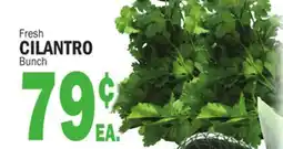 C Town CILANTRO offer