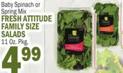 Bravo Supermarkets FRESH ATTITUDE FAMILY SIZE SALADS offer