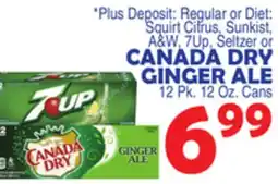 Bravo Supermarkets CANADA DRY GINGER ALE offer