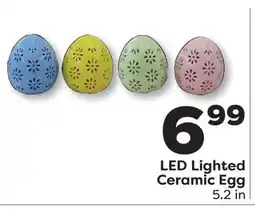 Weis Markets LED Lighted Ceramic Egg offer