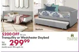 Boscov's Tranquility or Westchester Daybed offer