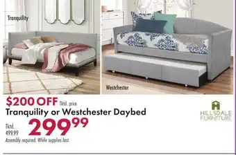 Boscov's Tranquility or Westchester Daybed offer