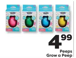 Weis Markets Peeps Grow a Peep offer