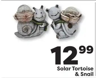 Weis Markets Solar Tortoise & Snail offer