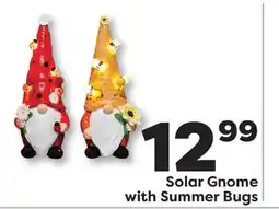 Weis Markets Solar Gnome with Summer Bugs offer