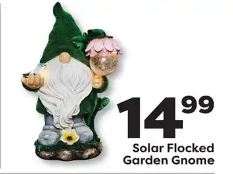 Weis Markets Solar Flocked Garden Gnome offer