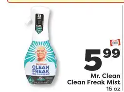 Weis Markets Mr. Clean Clean Freak Mist offer