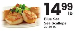 ACME Blue Sea Sea Scallops offer