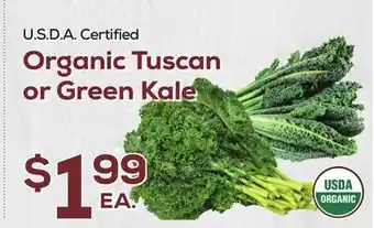 DeCicco & Sons Organic Tuscan or Green Kale offer