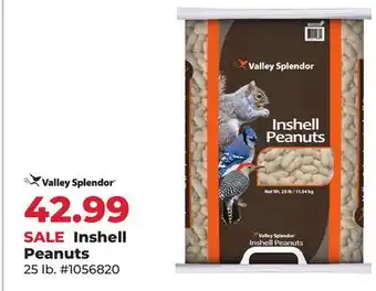 Runnings Valley Splendor Inshell Peanuts offer