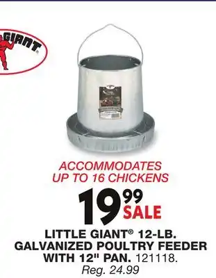 Blain's Farm & Fleet LITTLE GIANT 12-LB. GALVANIZED POULTRY FEEDER WITH 12 PAN offer