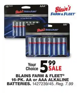 Blain's Farm & Fleet BLAINS FARM & FLEET 16-PK AA or AAA ALKALINE BATTERIES offer