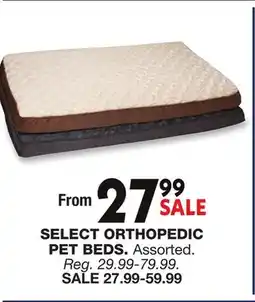 Blain's Farm & Fleet SELECT ORTHOPEDIC PET BEDS offer