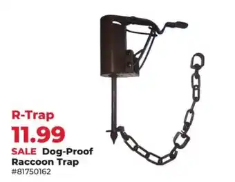 Runnings R-Trap Dog-Proof Raccoon Trap offer