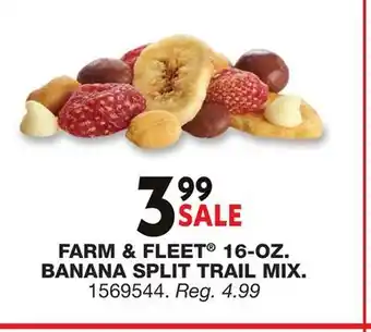 Blain's Farm & Fleet FARM & FLEET 16-OZ. BANANA SPLIT TRAIL MIX offer