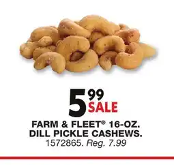 Blain's Farm & Fleet FARM & FLEET 16-OZ. DILL PICKLE CASHEWS offer