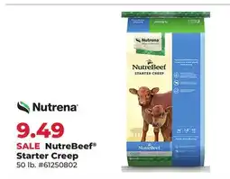 Runnings Nutrena NutreBeef Starter Creep offer