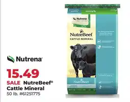 Runnings NutreBeef Cattle Mineral offer