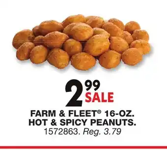 Blain's Farm & Fleet FARM & FLEET 16-OZ. HOT & SPICY PEANUTS offer