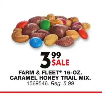 Blain's Farm & Fleet FARM & FLEET 16-OZ CARAMEL HONEY TRAIL MIX offer