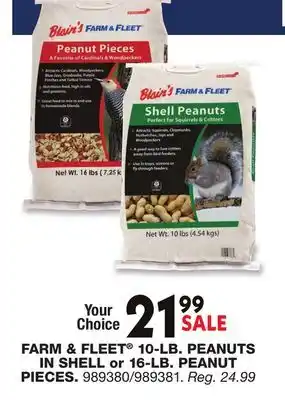 Blain's Farm & Fleet FARM & FLEET 10-LB PEANUT IN SHELL OR 16-LB PEANUT PIECES offer