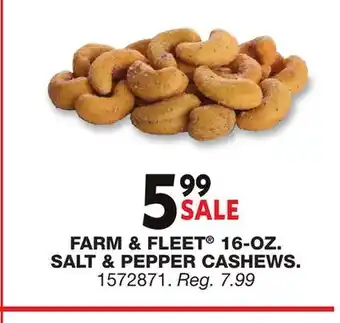 Blain's Farm & Fleet Farm & Fleet 16-oz Salt & Pepper CAshews offer