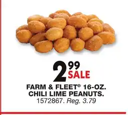 Blain's Farm & Fleet FARM & FLEET 16-0Z. CHILI LIME PEANUTS offer