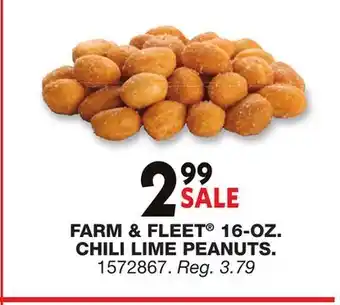 Blain's Farm & Fleet FARM & FLEET 16-0Z. CHILI LIME PEANUTS offer