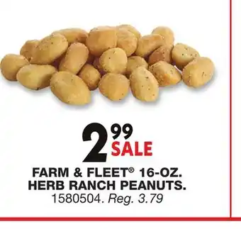 Blain's Farm & Fleet FARM & FLEET 16-OZ. HERB RANCH PEANUTS offer