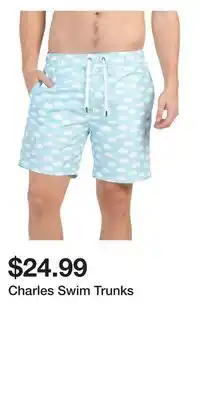 TJ Maxx Charles Swim Trunks offer