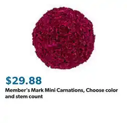 Sam's Club Member's Mark Mini Carnations, Choose color and stem count offer