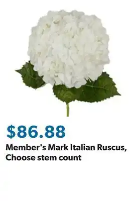 Sam's Club Member's Mark Italian Ruscus, Choose stem count offer