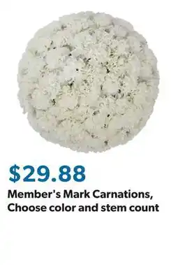 Sam's Club Member's Mark Carnations, Choose color and stem count offer