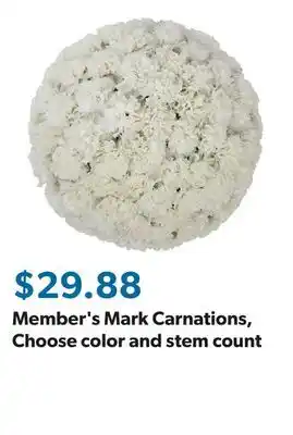 Sam's Club Member's Mark Carnations, Choose color and stem count offer