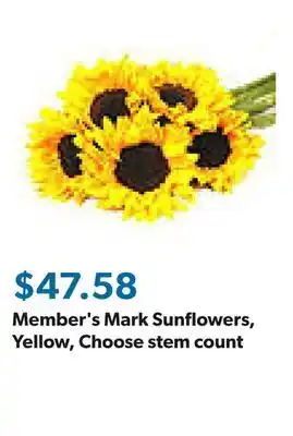 Sam's Club Member's Mark Sunflowers, Yellow, Choose stem count offer