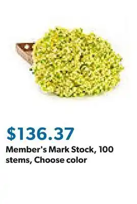 Sam's Club Member's Mark Stock, 100 stems, Choose color offer