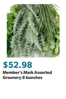 Sam's Club Member's Mark Assorted Greenery 8 bunches offer