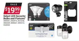 Ace Hardware Select LED Security Bulbs and Fixtures offer