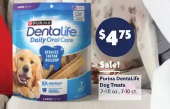 Family Dollar Purina DentaLife Dog Treats offer