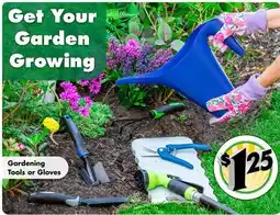 Dollar Tree Gardening Tools or Gloves offer