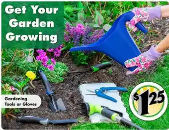 Dollar Tree Gardening Tools or Gloves offer