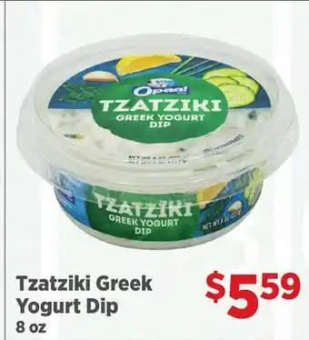 Gordon Food Services Tzatziki Greek Yogurt Dip offer