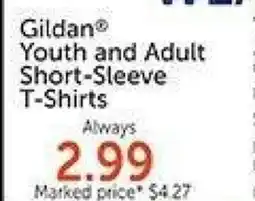 Hobby Lobby Gildan Youth and Adult Short-Sleeve T-Shirts offer