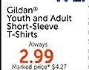 Hobby Lobby Gildan Youth and Adult Short-Sleeve T-Shirts offer