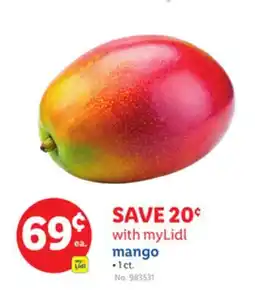 Lidl mango offer